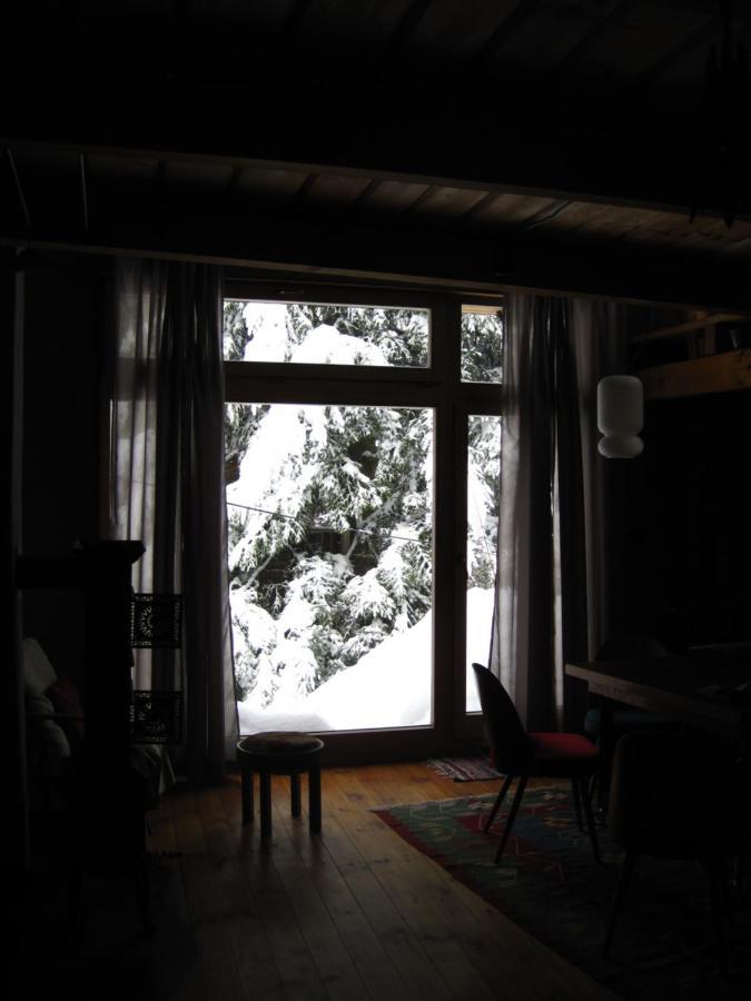 Appartement Atelier Eliska à Staré Hory Extérieur photo