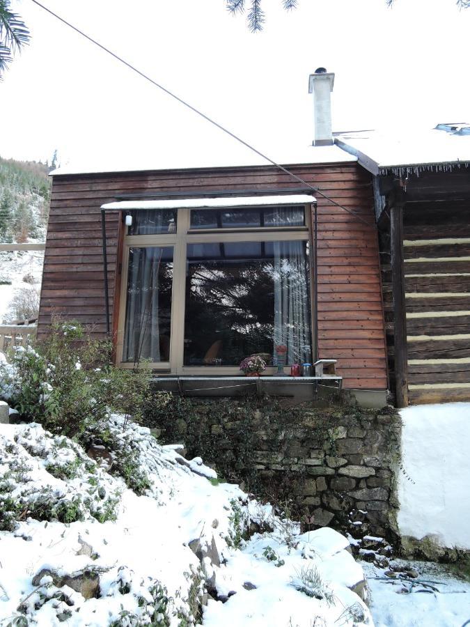 Appartement Atelier Eliska à Staré Hory Extérieur photo